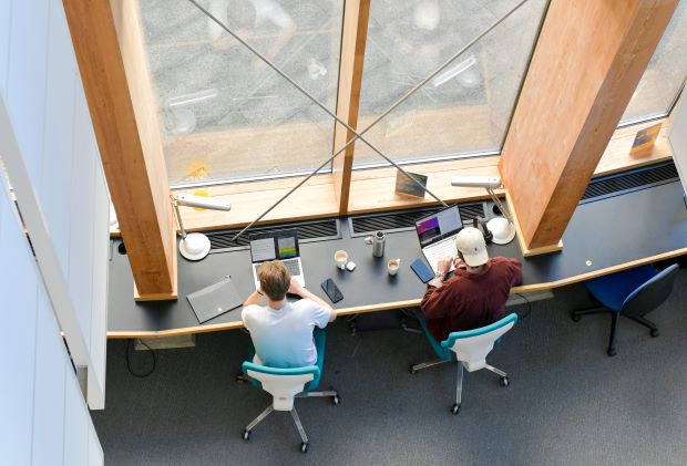 University of Reading - Henley. Students in the library